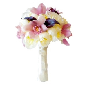 Elegance.     . Belflower -    .     .